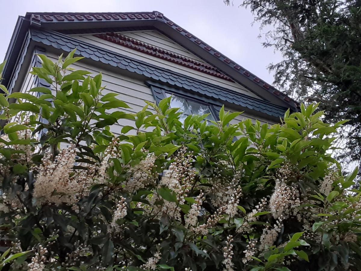 Sea Birds Cottage Виктория Екстериор снимка